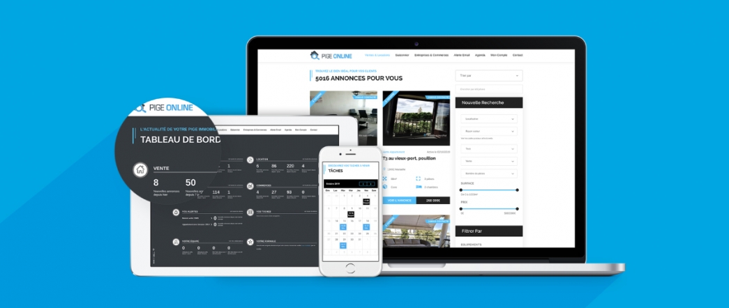 Un bon logiciel de pige immobili&egrave;re, c&rsquo;est quoi&nbsp;?